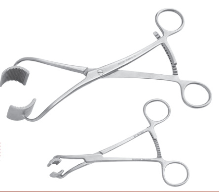 Bargo Bone Holding Clamp